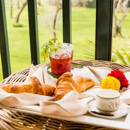 Hotel Club Olivi - Tennis Center Malcesine